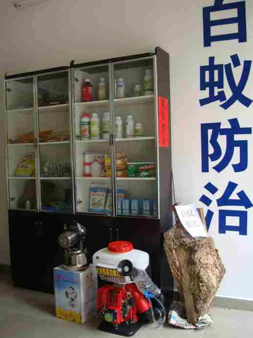 白蚁防治